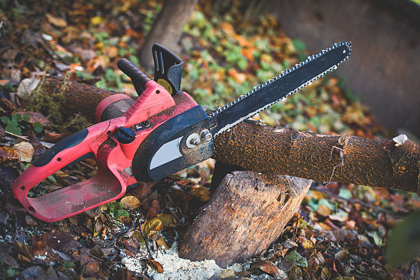Mulching Services in Gasport, NY